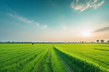 Obraz premium Image of vast, lush green field under bright, clear sky