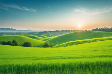Obraz premium Image of vast, lush green field under bright, clear sky