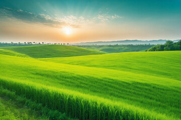 Obraz premium Image of vast, lush green field under bright, clear sky