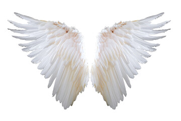 White angel wing isolated on white or transparent background, PNG - obrazy, fototapety, plakaty
