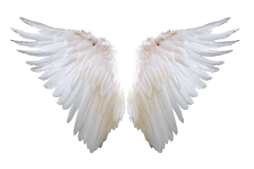 Fotobehang White angel wing isolated on white or transparent background, PNG © amankris99