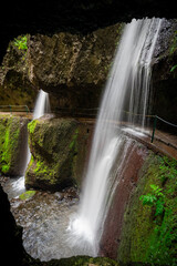 Obraz premium waterfall in the forest