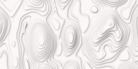 Pattern with lines and dots the stylized height of the topographic map Background on isolated. Abstract black on white contours vector topography stylized height of the lines map.
