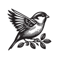 Sparrow on a branch. Sweet bird.  Black Engraving vector illustration. Icon, logo, emblem. isolated object	