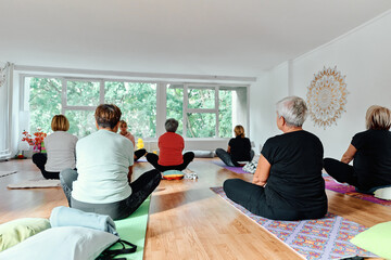 A group of senior women engage in various yoga exercises, including neck, back, and leg stretches, under the guidance of a trainer in a sunlit space, promoting well-being and harmony