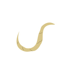 Parasitic Worm Vector