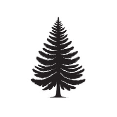 Pine trees silhouettes