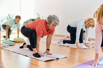 A group of senior women engage in various yoga exercises, including neck, back, and leg stretches,...