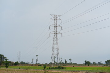 High-voltage tower in rice field.