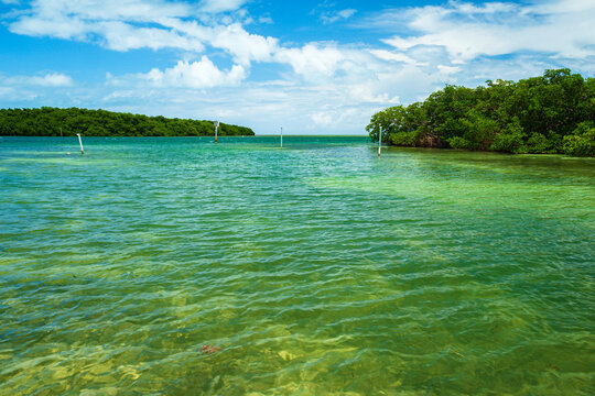 Florida Keys Landscape