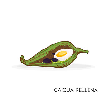 Vector stuffed caigua or stuffed achojcha, delicious Peruvian cuisine.