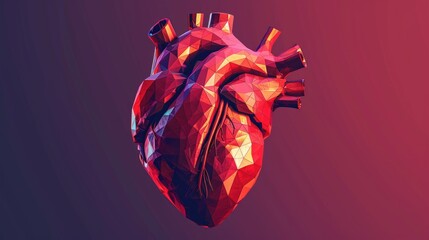 Low poly human heart