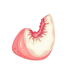 A piece of ripe, juicy peach and nectarine fruit. Vector graphics.