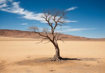 Climate change withered tree and dry earth