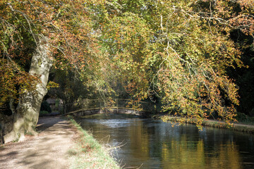 autumn coloured trees along The River Test Hampshire England one of Hampshire's finest chalk streams