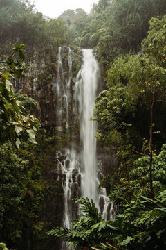 Maui Waterfall