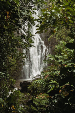 Maui Waterfall
