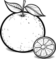 illustration of a orange