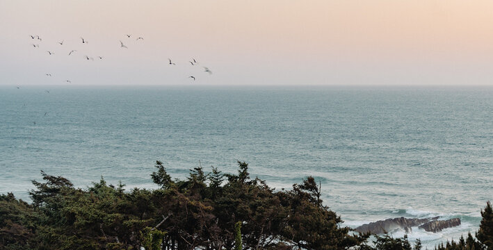 Oregon Coast Sunset