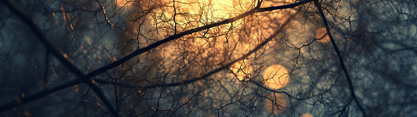 Fototapeta na wymiar Sunlight Filters Through Tree Branches, Creating a Mesmerizing Natural Spectacle