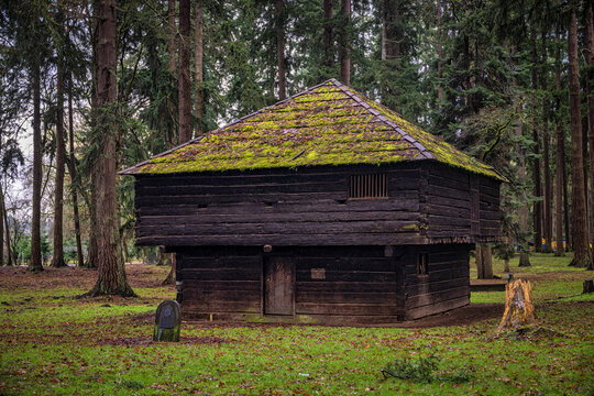 2023-01-03 A OLD DECAYING BUILDING IN THE BORST PARK IN CENTRALIA WASHINGTON WITH TREES AND GRASS IN THE SCENE-