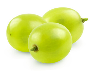 Grapes isolated. Three ripe green grapes on a transparent background.