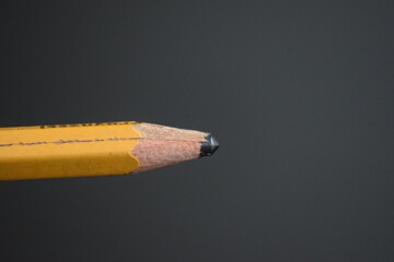 sharpes tool in the shed