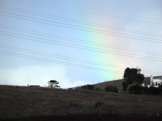 rainbow in the meadow