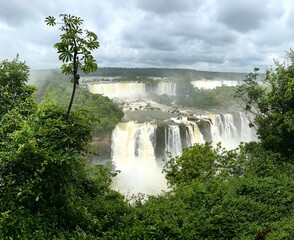 Fototapeta premium iguazu waterfalls in the rainforest of argentina