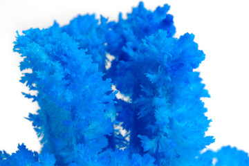Fototapeta premium Macro image blue salt crystal on white background.