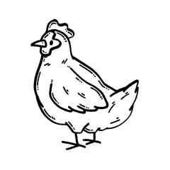 svg chicken doodle element set