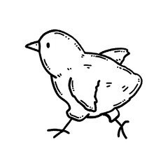 svg chicken doodle element set