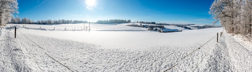 Schneelandschaft