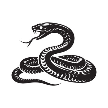 Serpent's Serenity: A Collection of Snake Silhouettes Immersed in a Serene Aura, Unveiling the Calm Essence of These Reptilian Beings - Reptile Illustration - Viper Vector
