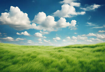 Obraz premium Nature's Canvas: Beautiful Grassy Fields and Summer Blue Sky with Fluffy White Clouds Dancing in the Wind – A Breathtaking Scene in Wide Format