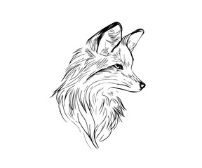 fox head vector illustration, Fox vector