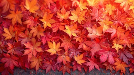 Naklejka na ściany i meble Background Material Autumn Leaves Image, Background Banner HD