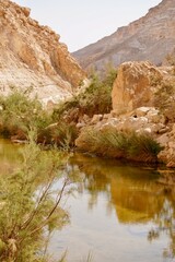 Fototapeta na wymiar oasis canyon