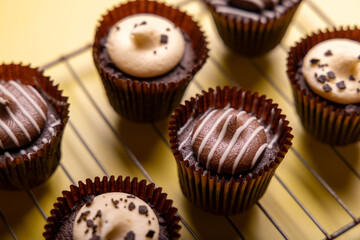 chocolate cupcakes with chocolate