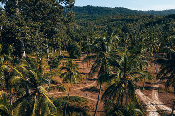 Aerial view of palm trees and hills in center of Koh Samui island, Thailand in June