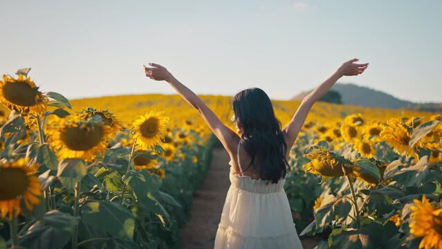 Carefree Happy beautiful young asian woman in white dress opened arms up in air and looking at sunset in a large field of sunflowers, Freedom concept, Enjoyment, Summer time.