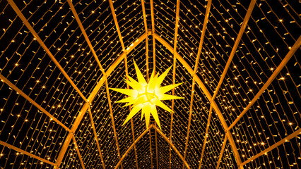 Mainau, Germany - December 27, 2023: A Christmas garden is a Christmas event with beautiful light creations and illuminations on the island of Mainau on Lake Constance