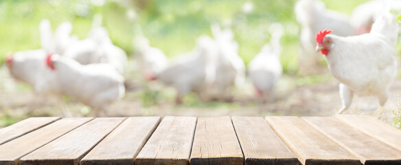 Empty wooden table and chicken farm background - Powered by Adobe
