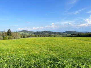 Picturesque landscape with field and blue sky