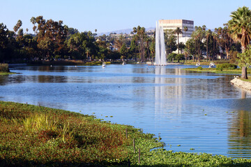 Fototapeta na wymiar Los Angeles, California: Echo Park Lake, lake and urban park in the Echo Park neighborhood of Los Angeles
