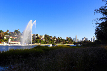 Fototapeta premium Los Angeles, California: Echo Park Lake, lake and urban park in the Echo Park neighborhood of Los Angeles
