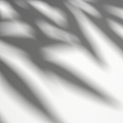 Shadow overlay effect of tree and leaves.
