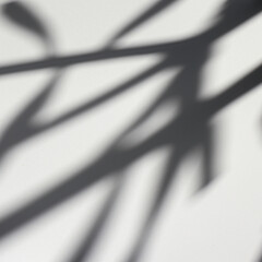 Shadow overlay effect of tree and leaves.