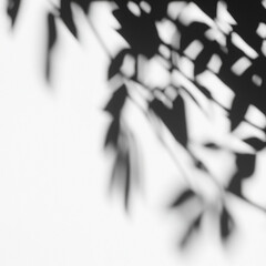 Shadow overlay effect of tree and leaves.