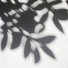 Shadow overlay effect of tree and leaves.